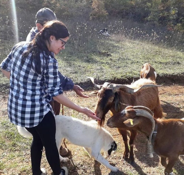 a couple giving some snacks from their hands to two goats at Gralista Farm