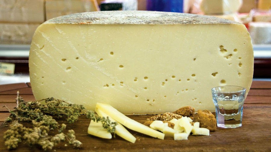 Close-up of pieces of Greek ’Graviera’ a hard yellow cheese and a half spherical of it in the background and surrounded by dry branches of oregano