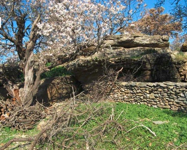 entrance of cave surrounded by trees almond in bloom with white flowers at 'Greek Almond'