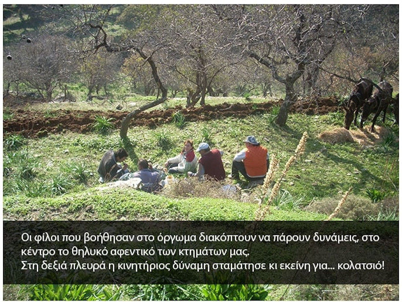 men sitting on high green grass at 'Greek Almond' surrounded by almond trees