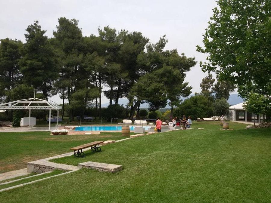 green lawn on the ground with the high trees, tourist and piscine in the background at Ktima Kokotou