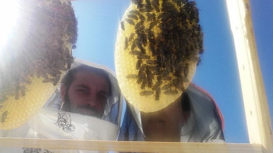 Beekeepers cherishing nature's sweet treasures. Honeycomb panel held with care, symbolizing the labor of love. A testament to the dedication and rewards of beekeeping.