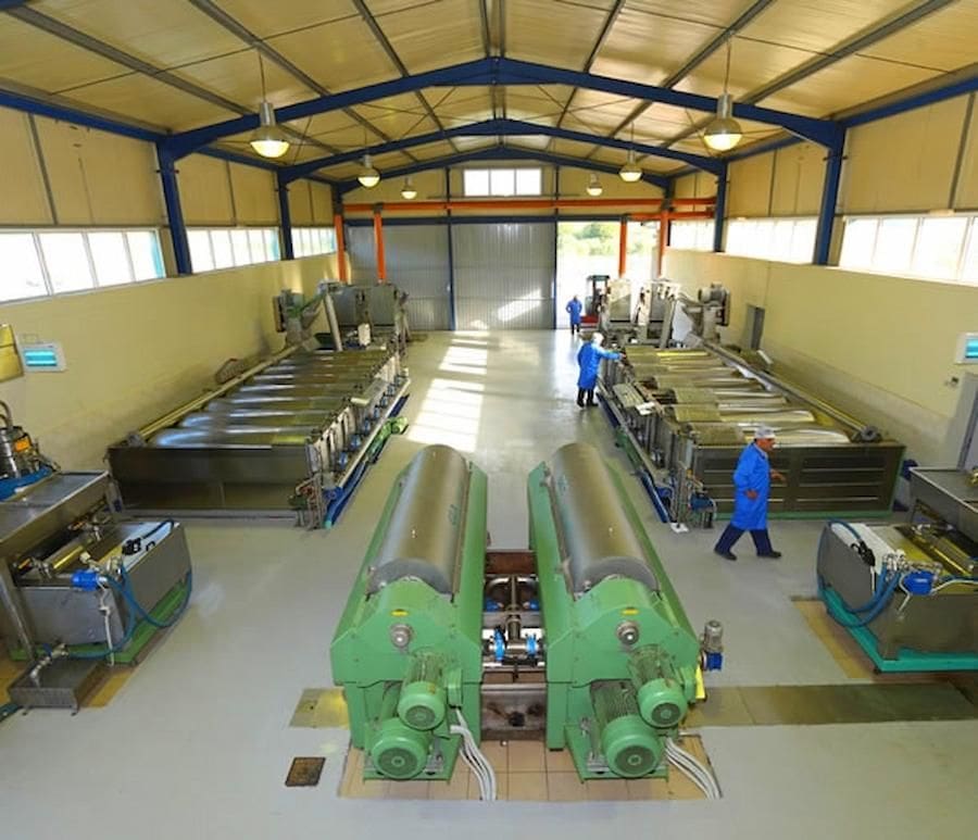 inside unit production of olive oil at vassilakis estate