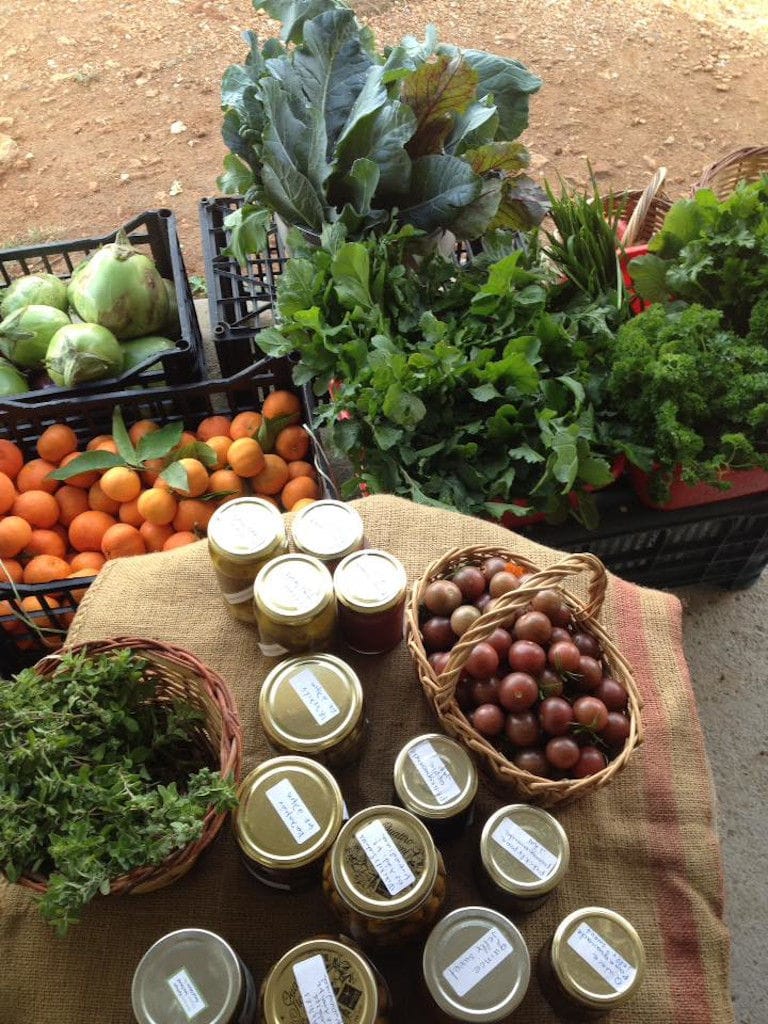 view from above of glass jars and crates with oranges and green salads and broccoli from 'Kamarantho' crops