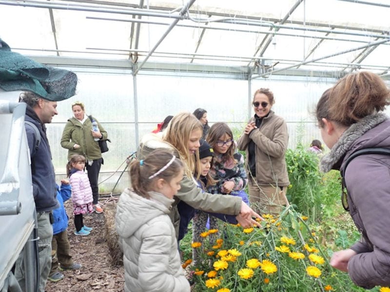 a group of pupils with their teachers admiring yellow flowers in 'Kamarantho' greenhouse