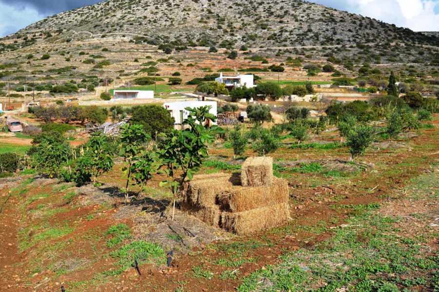 bale of hays on top of each other on the ground at 'Kamarantho' crops