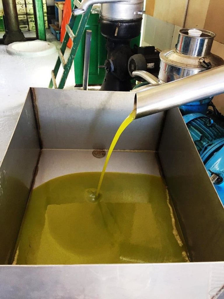 olive oil flowed from olive oil press machine at 'Kamarantho' plant