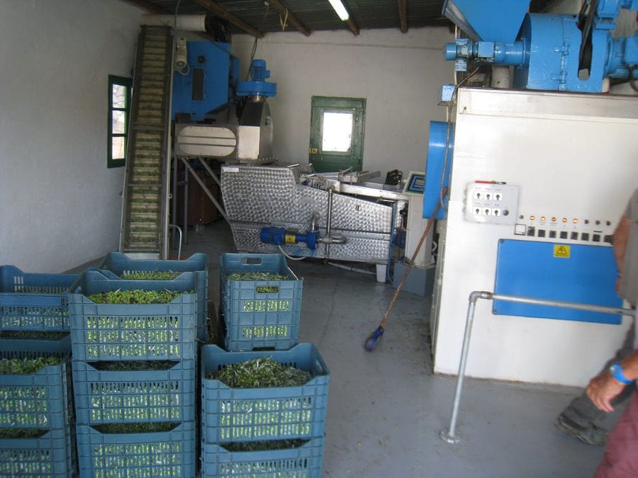 plastic crates with olives on top of each other at 'Kamarantho' plant and olive oil press machine in the background