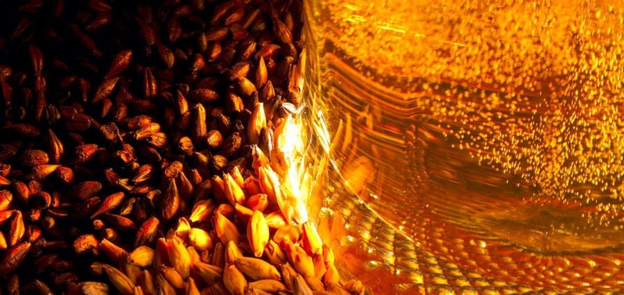 barley corns and beer at 'Karma Beer Brewery of Peloponnisos'