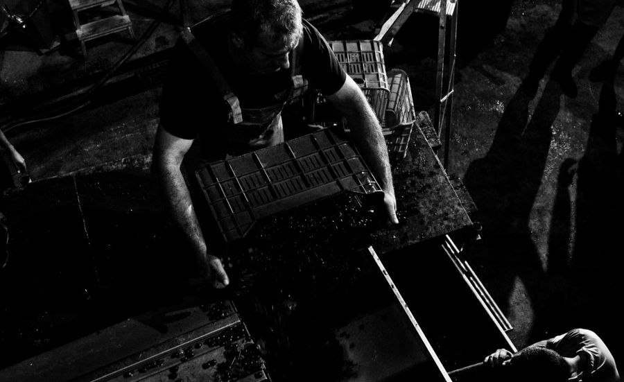 man feeding grapes press machine at Kellari Papachristou facilities