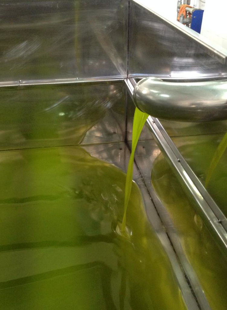 close-up of olive oil flowed from olive oil press machine at Konstas Olive Tours plant