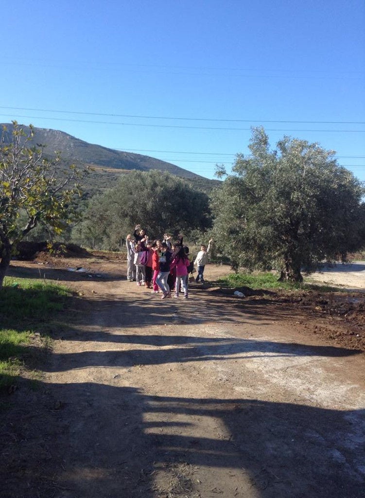 a group of children on dirt road surronded by olive trees at Konstas Olive Tours