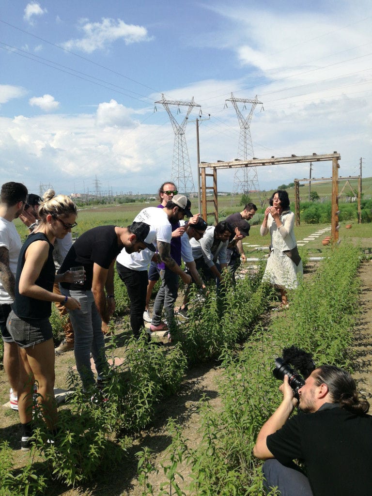 tourists listening to a woman giving a tour at Efkarpia Farm outside and another tourist taking photo with the camera