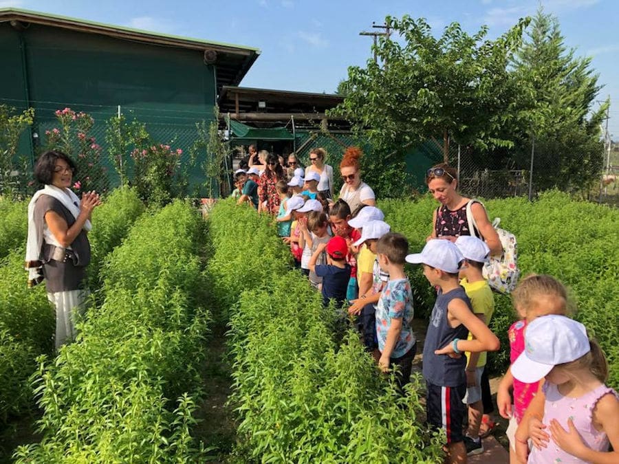 a group of pupils listening to a woman giving a tour at Efkarpia Farm outside