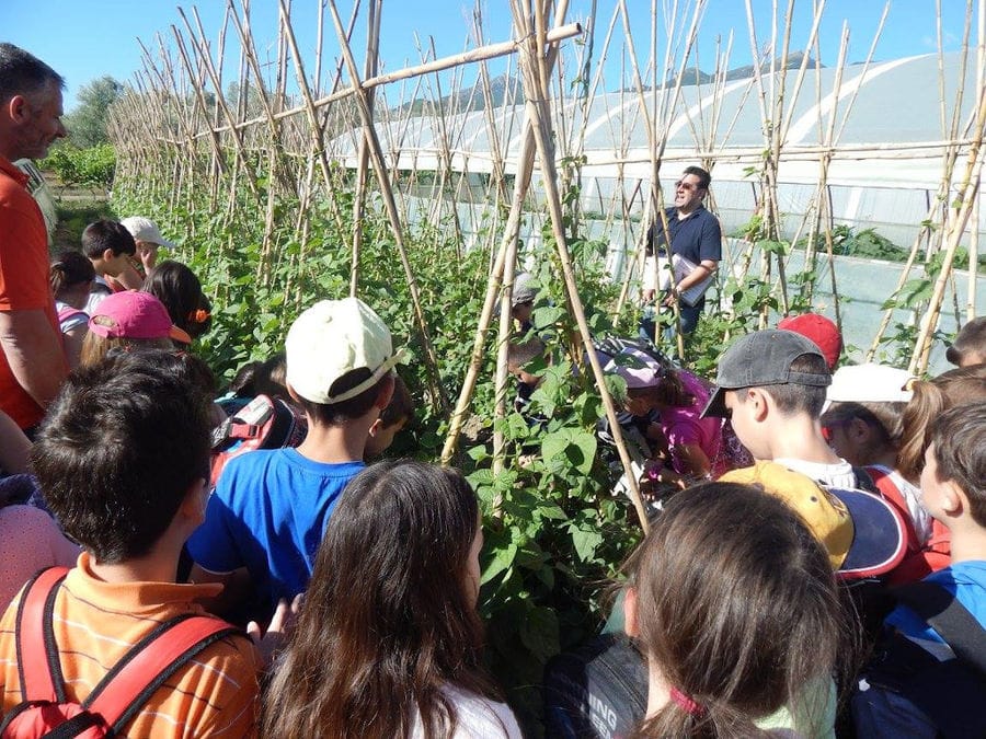 a group of pupils listening to a man giving a tour at 'Ktima Golemi' crops