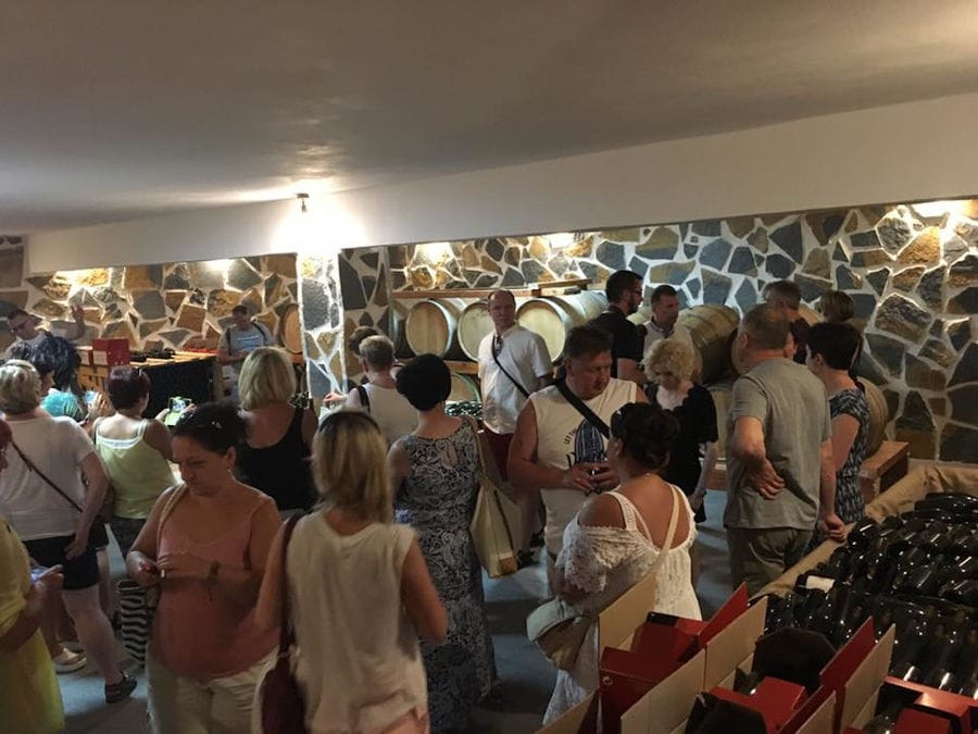 a group of tourists visiting the Ktima Karamitsos stone cellar