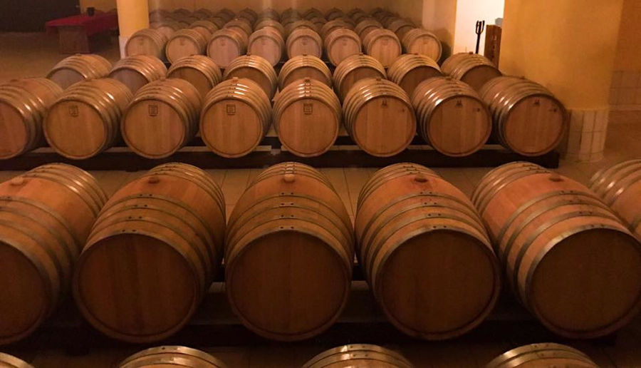 wooden barrels on top of each other in a row at 'Ktima Karipidis' cellar