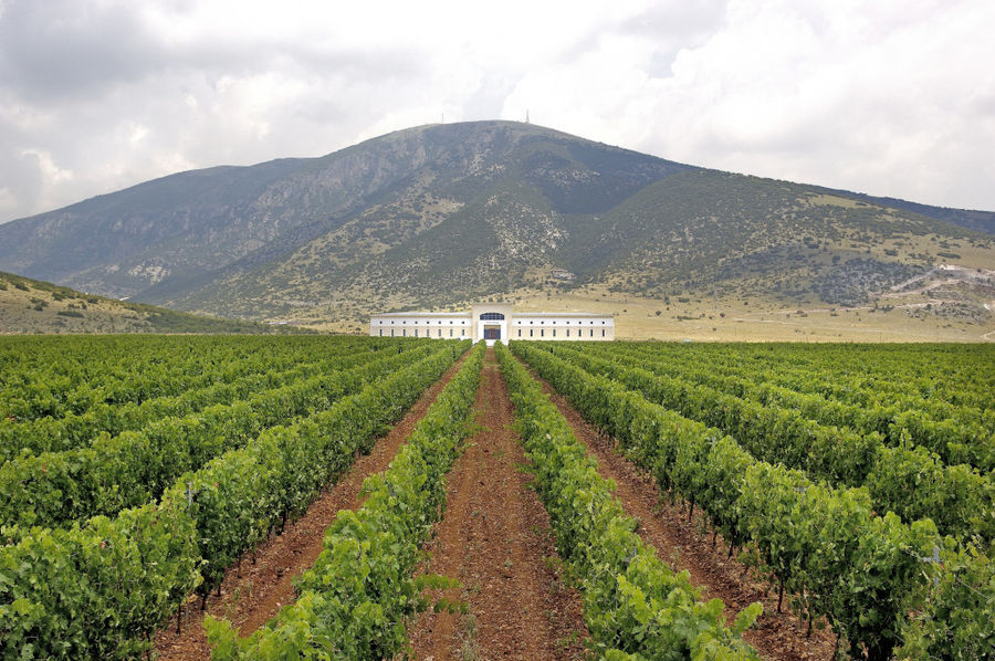 view of 'Ktima Pavlidis' vineyards in the background of mountains and the winery