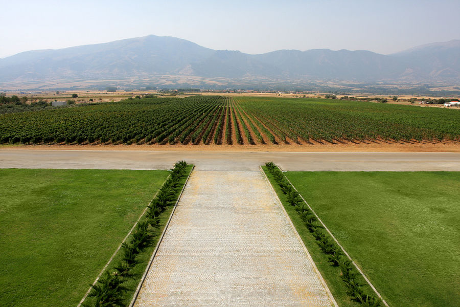 view of 'Ktima Pavlidis' vineyards in the background of mountains and the blue sky