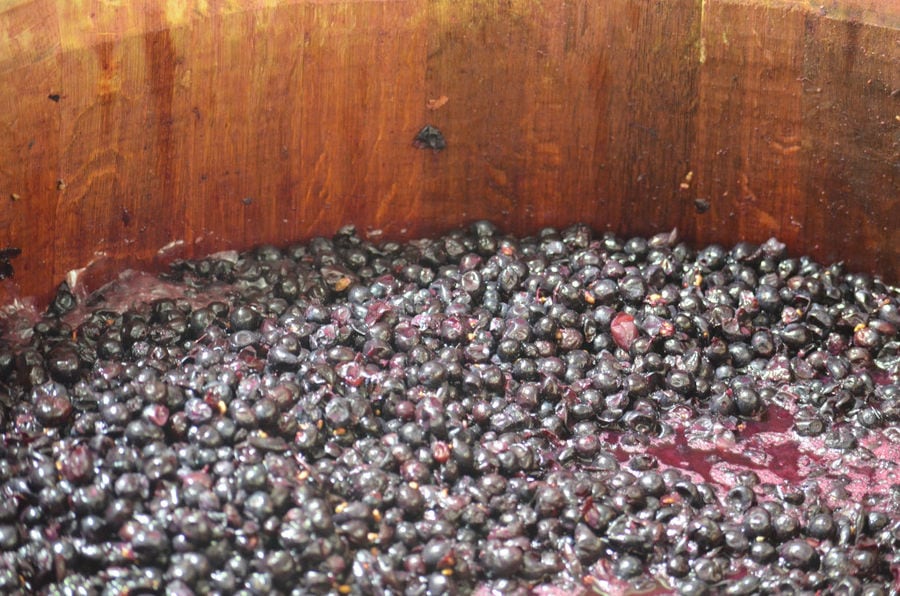 must 'pulp' of black grapes and fermentation occurs together with the grape skins at 'Ktima Pavlidis'