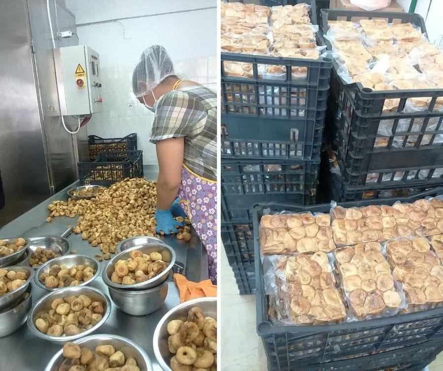 woman packaging dry figs at 'Ktimata Moschouta' workshop