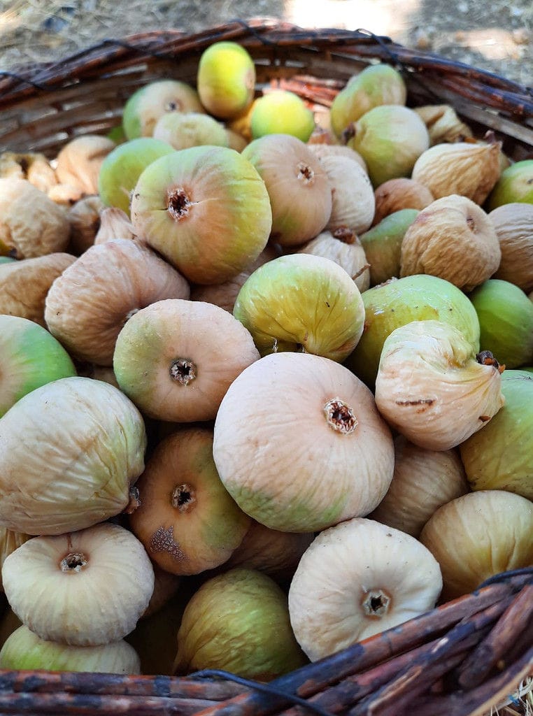 bowl with fresh figs at 'Ktimata Moschouta' workshop