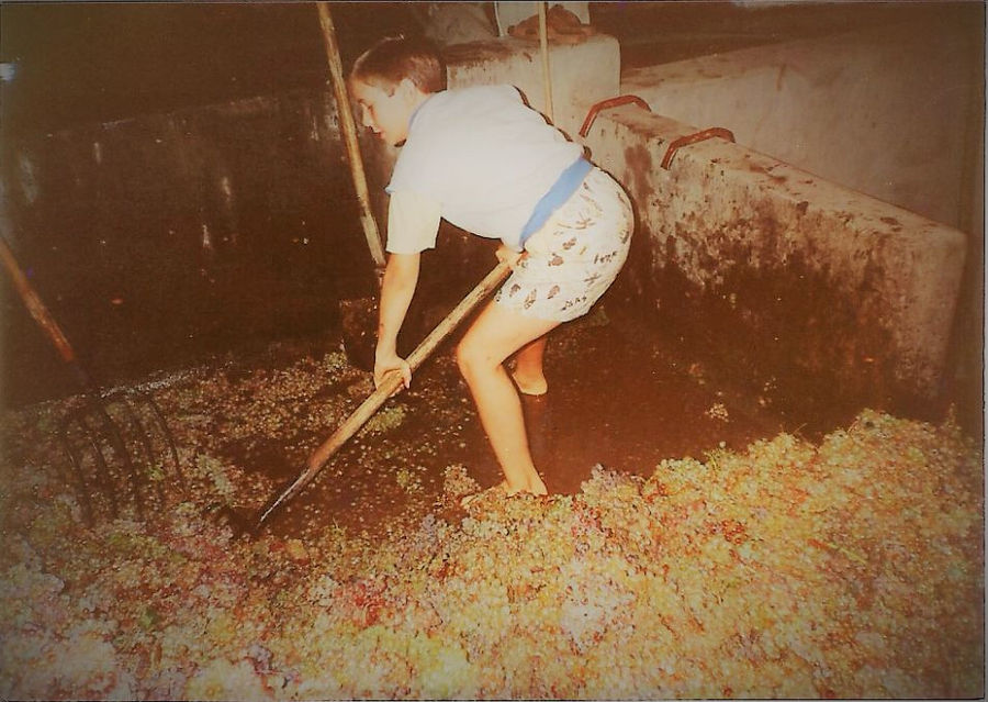 child taking with a shovel grapes pulp and grape skins at Liepouris Winery