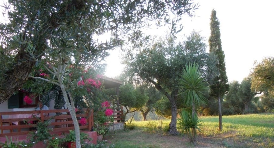 corner of 'Lithies Organic Farm' house surrounded by trees and green grass