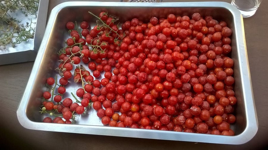 was with cherries tomatoes from 'Lithies Organic Farm' restaurant