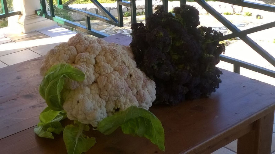 a cauliflower and a broccoli on the wood table at 'Lithies Organic Farm'