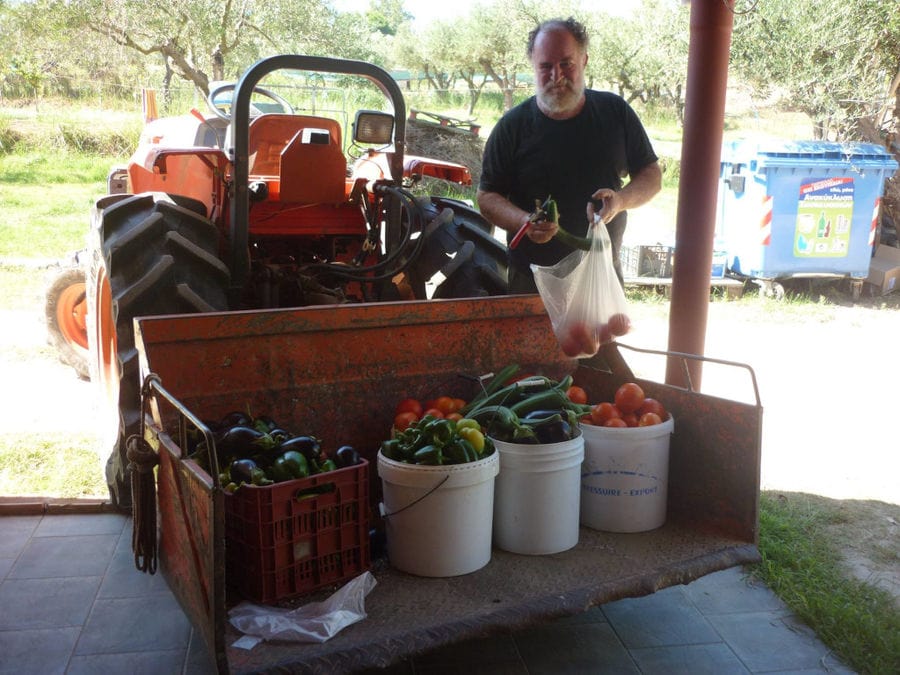 man showing at the camera and tractor's trailer with buckets with tomatoes and eggplants from 'Lithies Organic Farm'