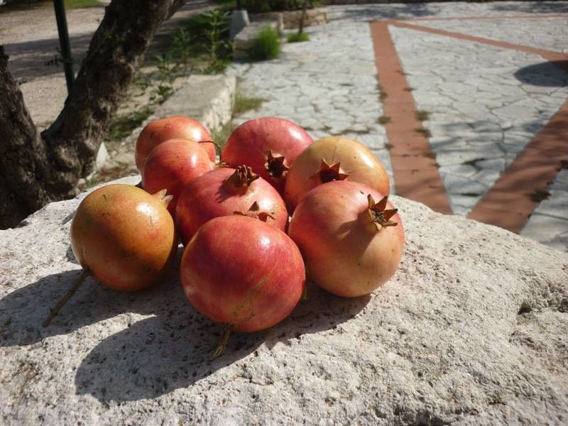 ripe pomegranates on the stone from 'Lithies Organic Farm'