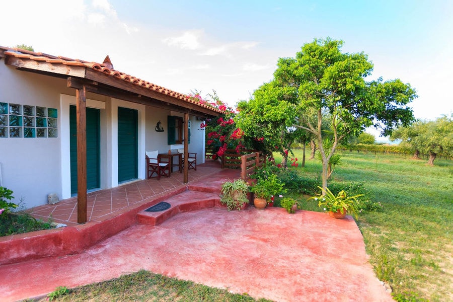 one side of 'Lithies Organic Farm' house with pink pavement in front and trees and green grass