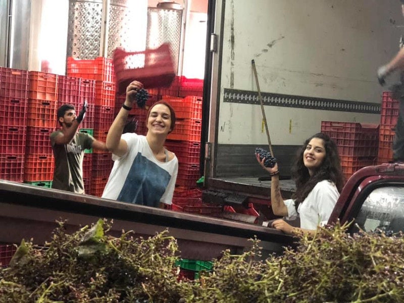 two girls holding a bunche of grapes each one and smiling happily at the camera at 'Lykos Winery' plant