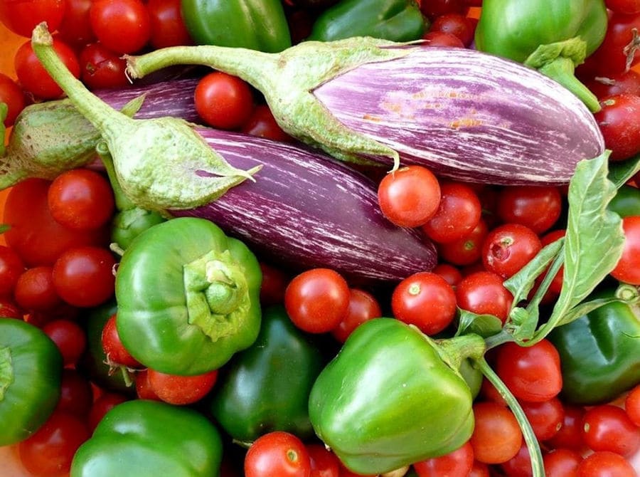 close-up of eggplant and green peppers and tomatoes cherries at 'La Maison Vert Amande'