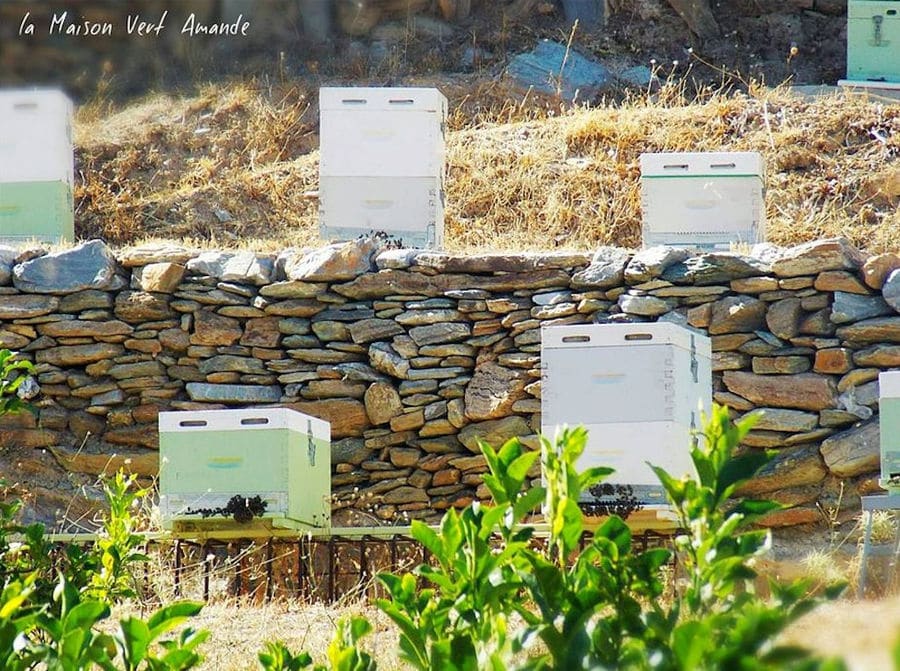 bee hives on stone walls at 'La Maison Vert Amande'