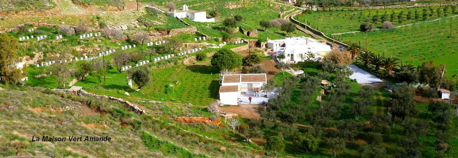 far view of 'La Maison Vert Amande' buildings surrounded by trees and vines