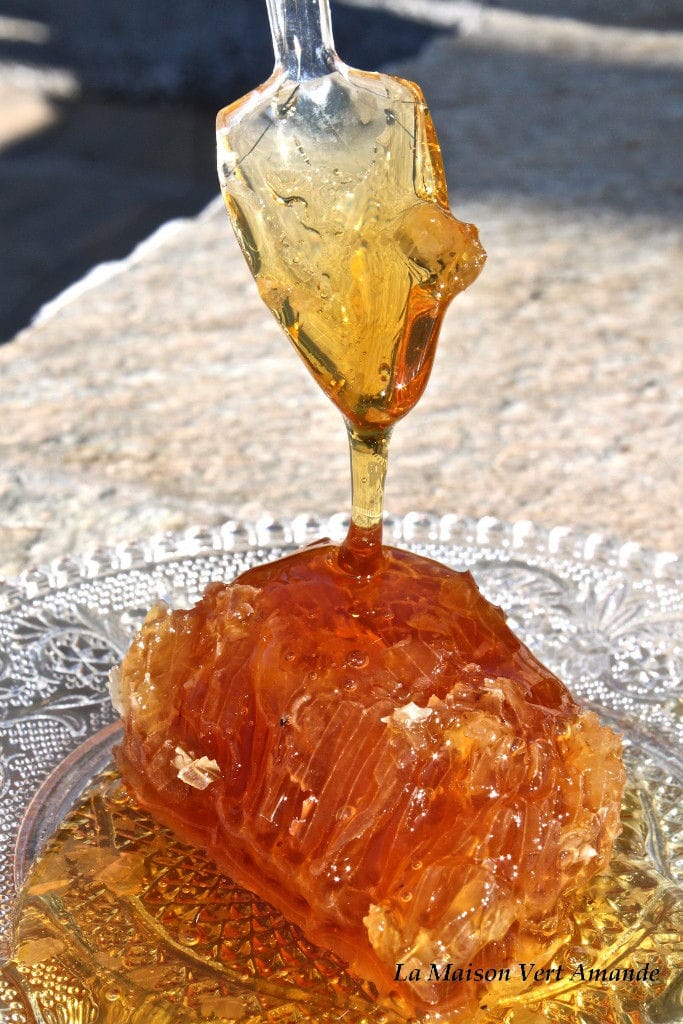 honey flowing from the spot on top of honey comb at 'La Maison Vert Amande'