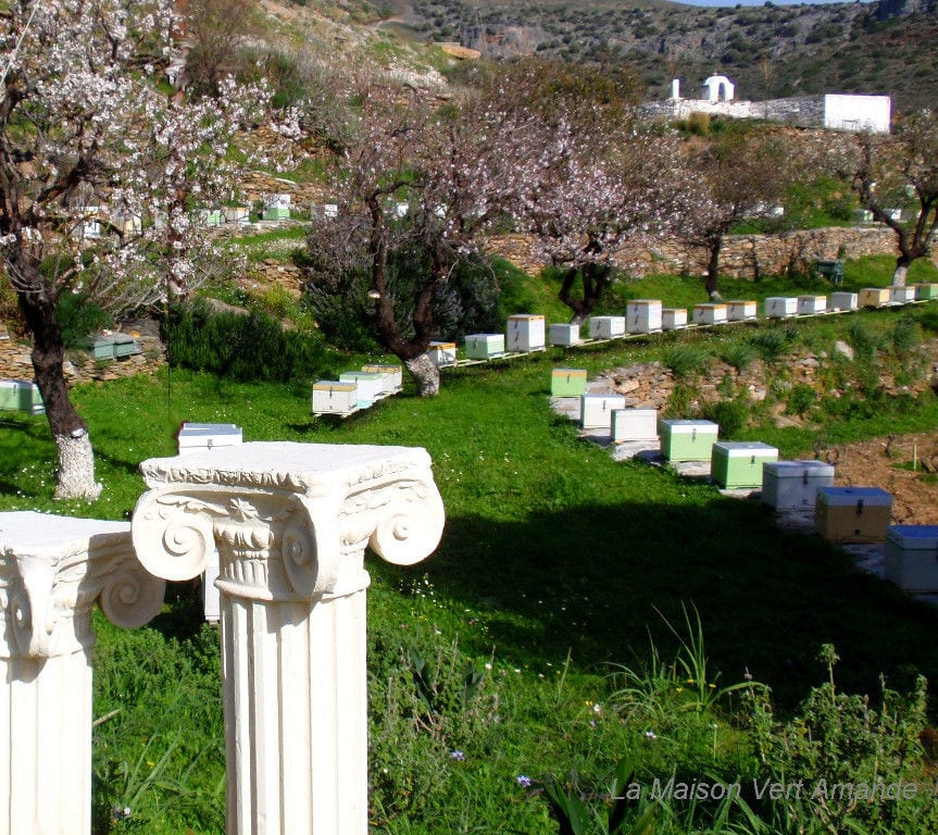 close-up of the top of two ancient Greek columns with rows of bee hives on green grass and trees at 'La Maison Vert Amande'