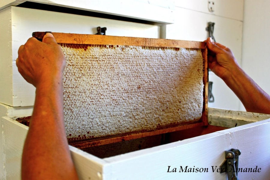 man placing honeycomb panel in honey extractor at 'La Maison Vert Amande'