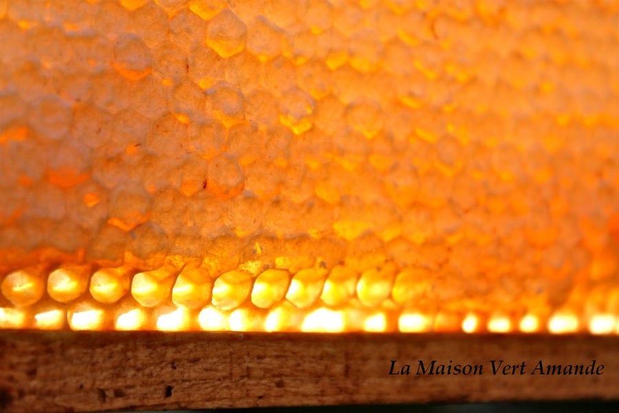 close-up of honeycomb panel with honey at ''La Maison Vert Amande'