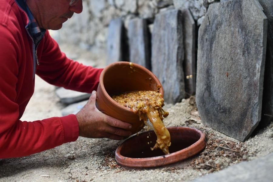 man pouring grapes must from ceramic bowl in amphora buried in the ground outside at Afianes wines