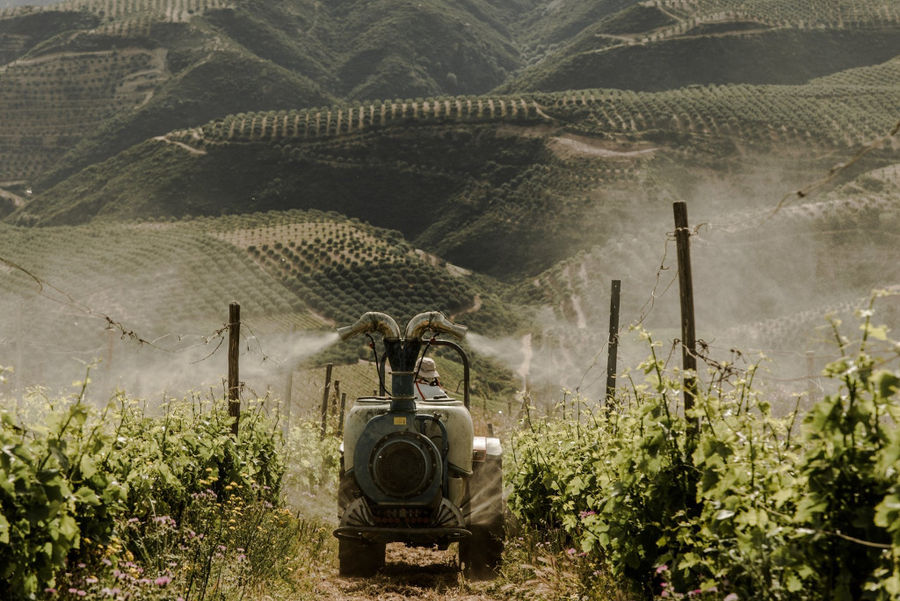 Viticulture sprayer working in Manousakis Winery vineyards