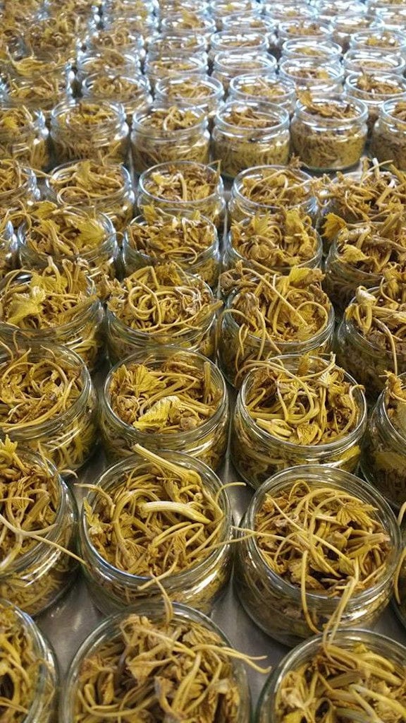 glass jars with cooked vine leaves at 'Marianna'