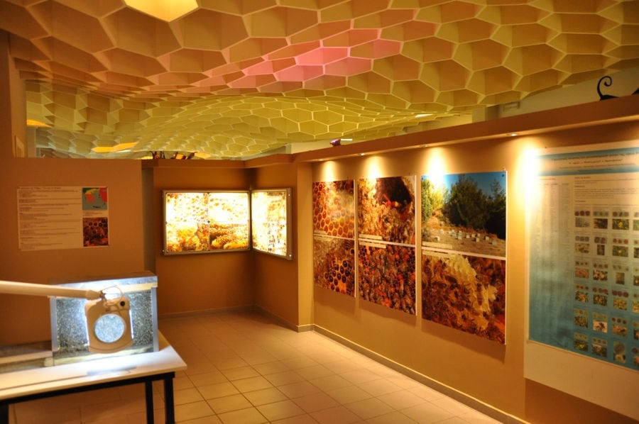 pictures and posters on the walls and hive-like ceiling at 'Melissokomiki Dodekanisou Bee Museum'