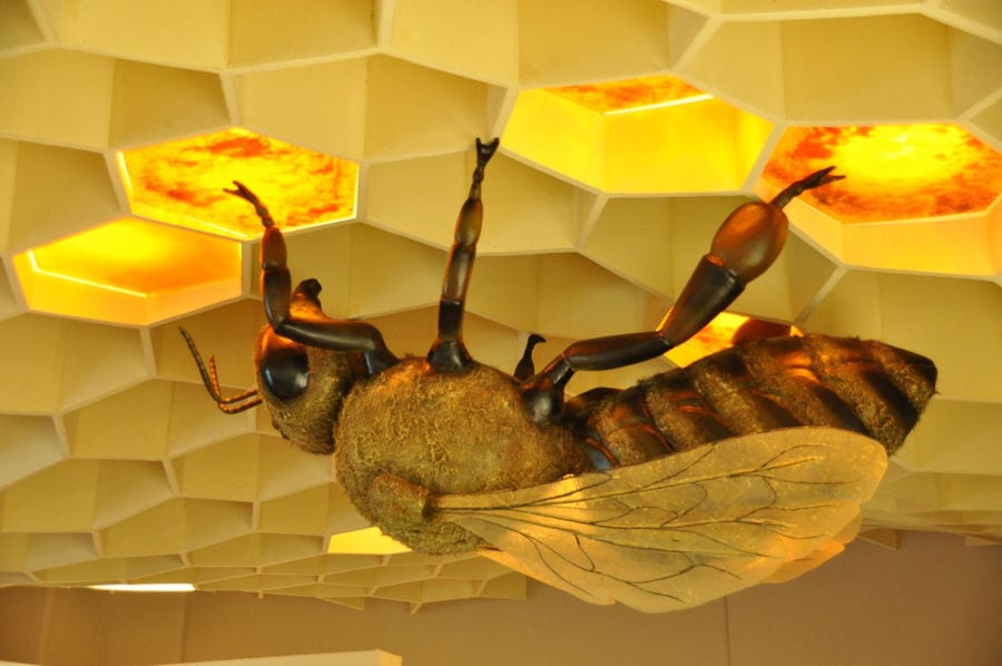 huge model bee on the hive-like ceiling at 'Melissokomiki Dodekanisou Bee Museum'