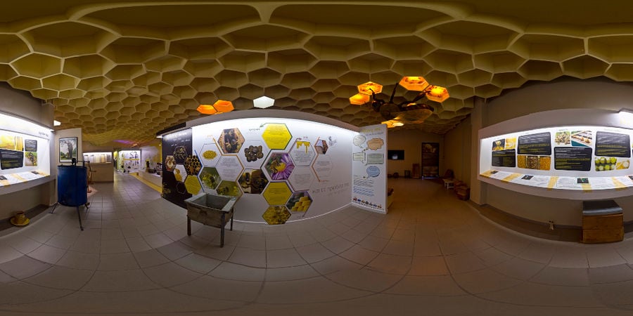 wall with texts and diagrams regarding beekeeping at 'Melissokomiki Dodekanisou Bee Museum' room with hive-like ceiling