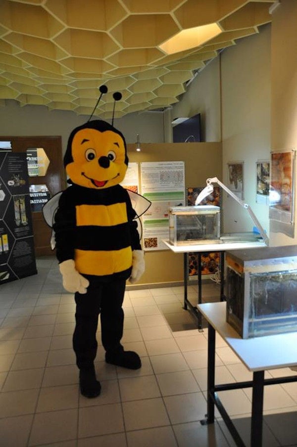 employee dressed as a bee at 'Melissokomiki Dodekanisou Bee Museum' and watching at the camera