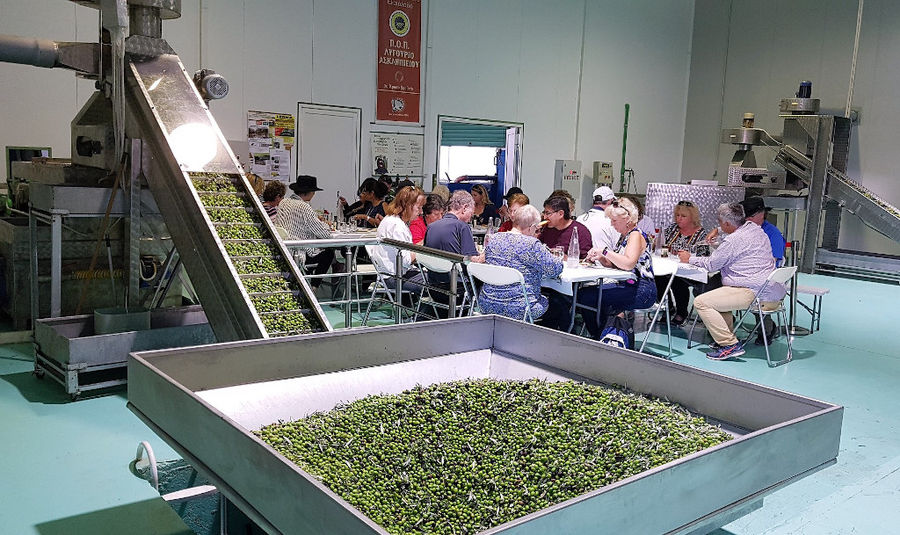 a group of tourists sitting at the tables in Melas Epidauros olive oil plant