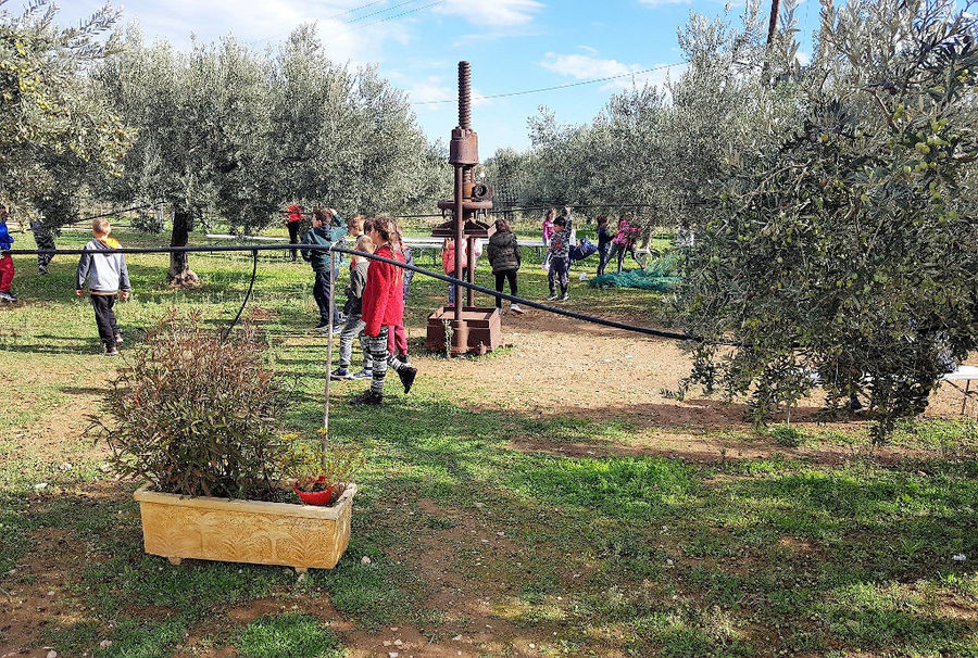 a group of children playing outside at Melas Epidauros surrounded by olive trees